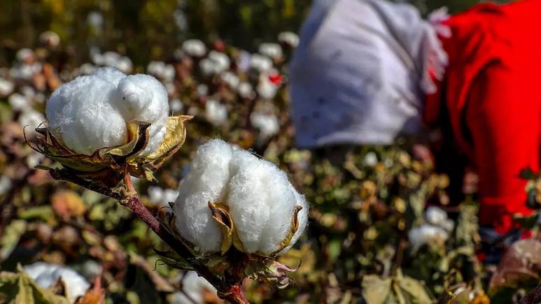 Fransız yargısı, Çin'de Uygurlardan kazanç sağlayan 4 tekstil devine soruşturma