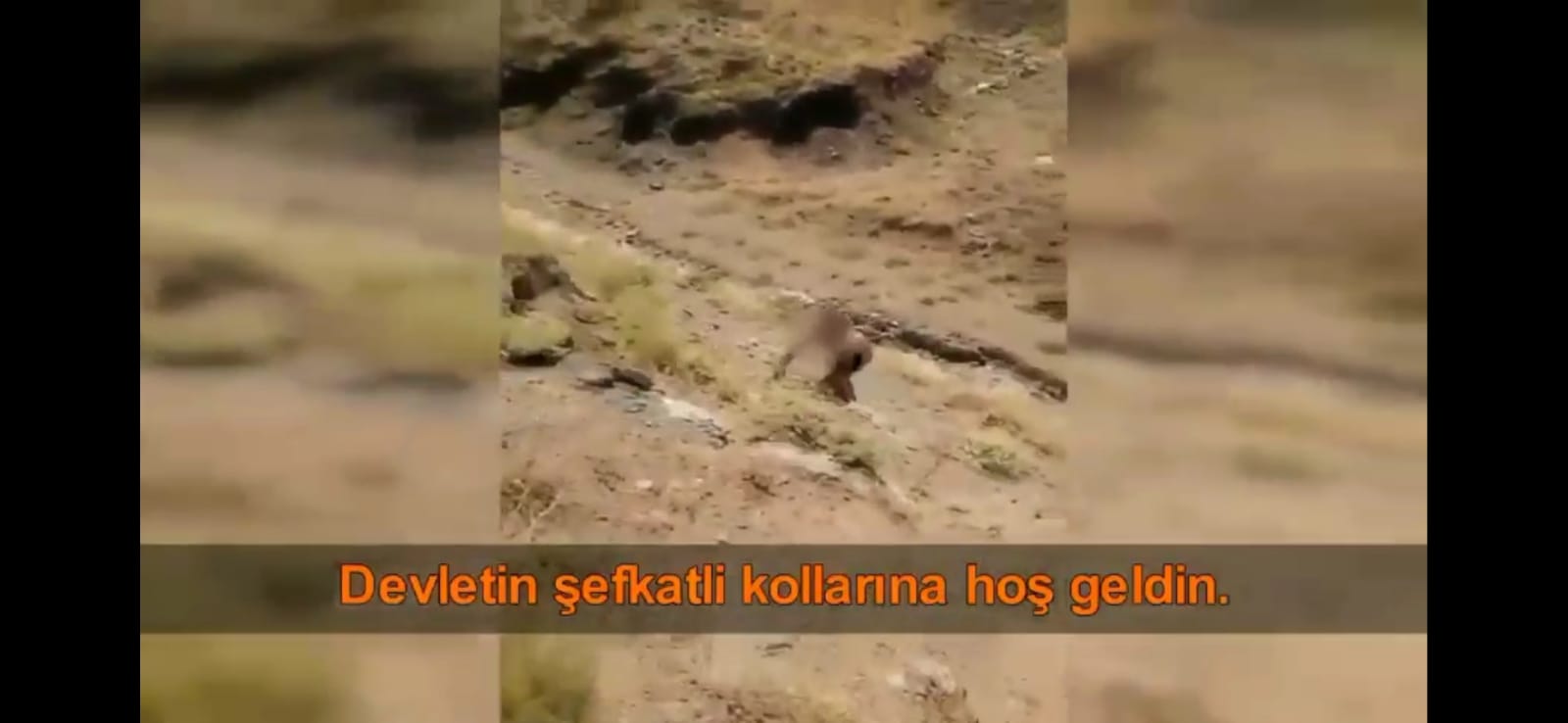 Devletin şefkatli kollarına hoşgeldin (Video Haber)