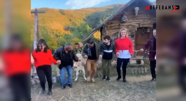 Karadeniz fıkrası gibi: Yaylada horona köpeği de dahil ettiler (Video Haber)