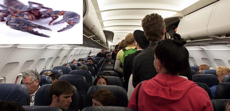 Uçakta dehşet: Havadaki yolcuyu akrep soktu