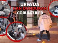 Şanlıurfa'da dehşete düşüren görüntüler! Araçla defalarca üstünden geçti: 5 yaralı