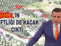 Fatih Portakal'ın çiftliği de kaçak çıktı