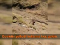 Devletin şefkatli kollarına hoşgeldin (Video Haber)