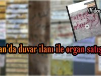 İran'da duvar ilanı ile organ satışı (Video Haber)