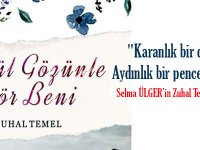 "Karanlık bir dünyadan aydınlık bir pencereye bakış"