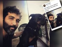Barış Atay'ın köpekli fotosunu paylaşan Selman Öğüt 'sen sakallı olansın değil mi?' diye sordu