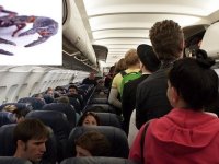 Uçakta dehşet: Havadaki yolcuyu akrep soktu