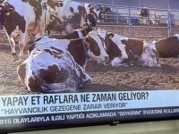 CNN Türk'ün 'yapay et' haberine vatandaşlardan tepki